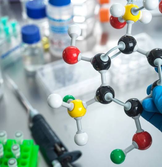 Handshake between two business people